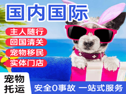鸡西航空空运国际宠物托运 【国
